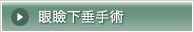 眼瞼下垂手術